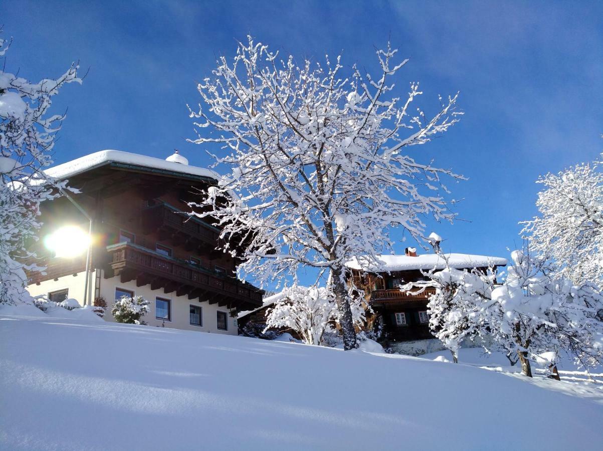 Vordersattlegghof Villa Hüttau Exteriör bild