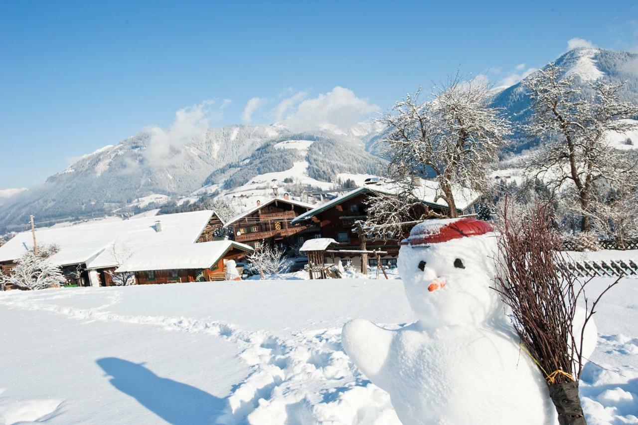 Vordersattlegghof Villa Hüttau Exteriör bild